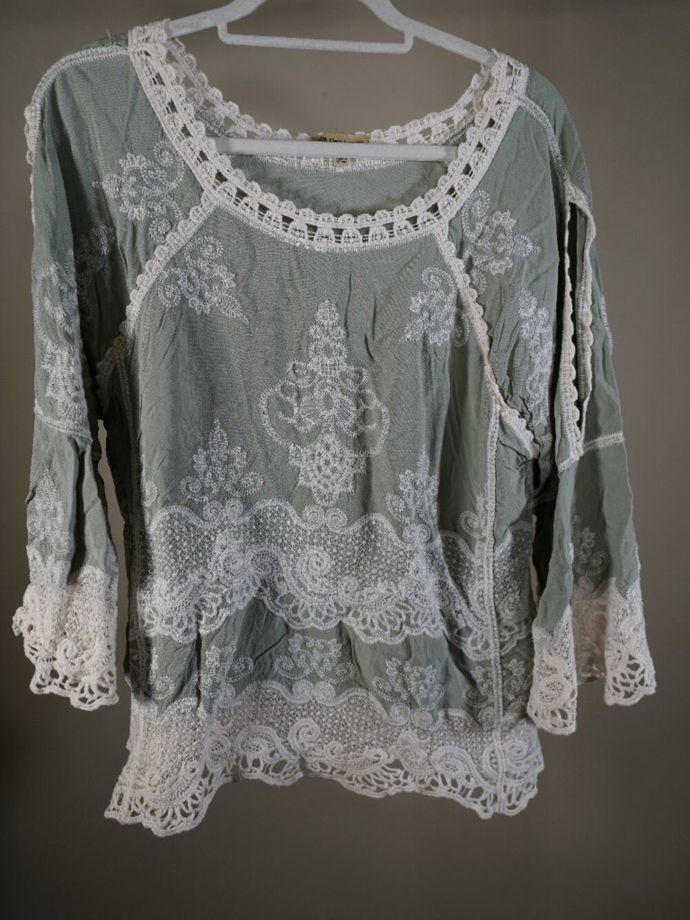 Democracy L Sage Embroidered Lace Boho Blouse